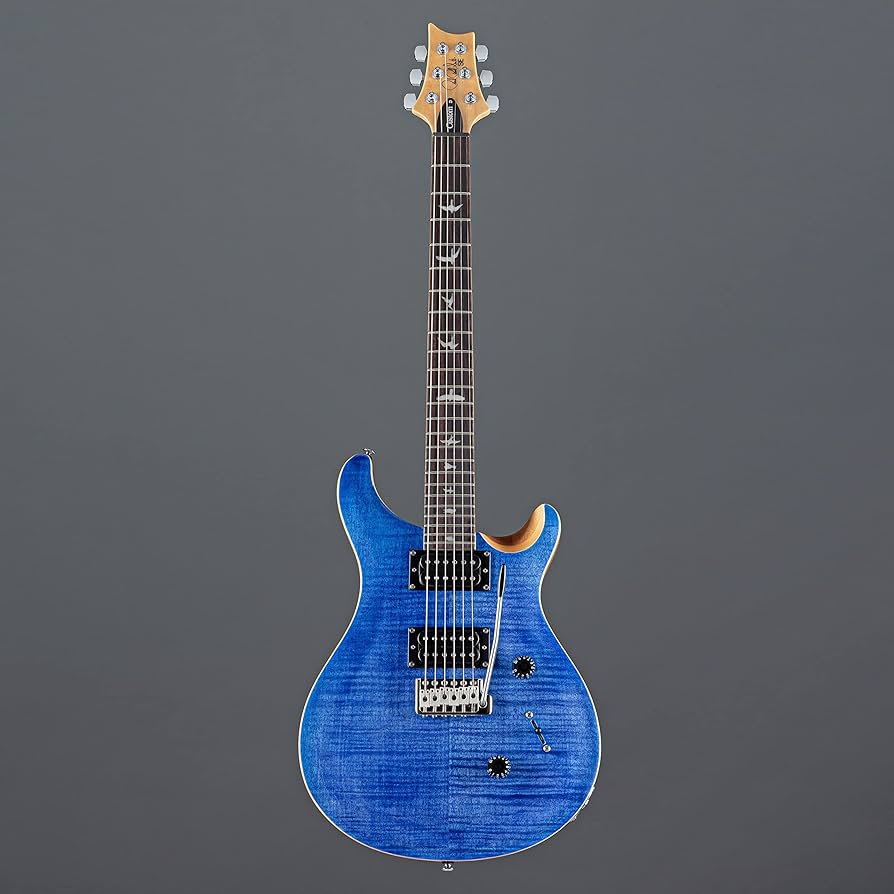 Amazon.com: PRS SE Custom 24 Exclusive with Gig Bag, Black